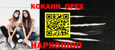 шишки Кимры