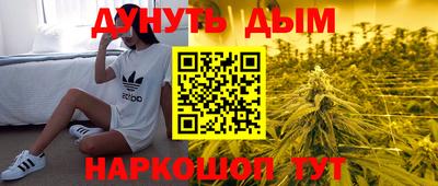 шишки Кимры