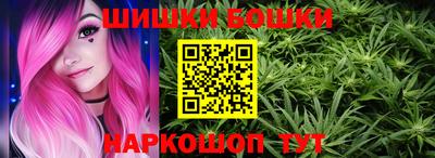 шишки Кимры