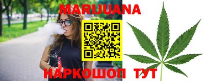 шишки Кимры