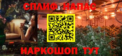 мет Кингисепп
