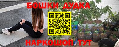 шишки Кимры