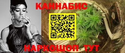 мет Кингисепп