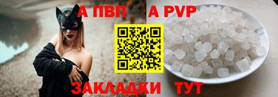 мет Кингисепп