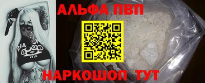 мет Кингисепп