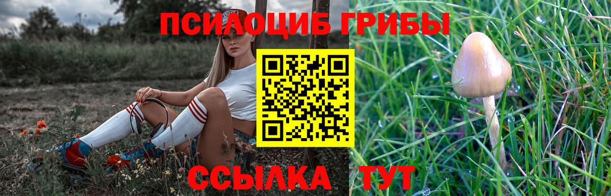 Псилоцибиновые грибы Cubensis  Вход с VPN  Копейск 